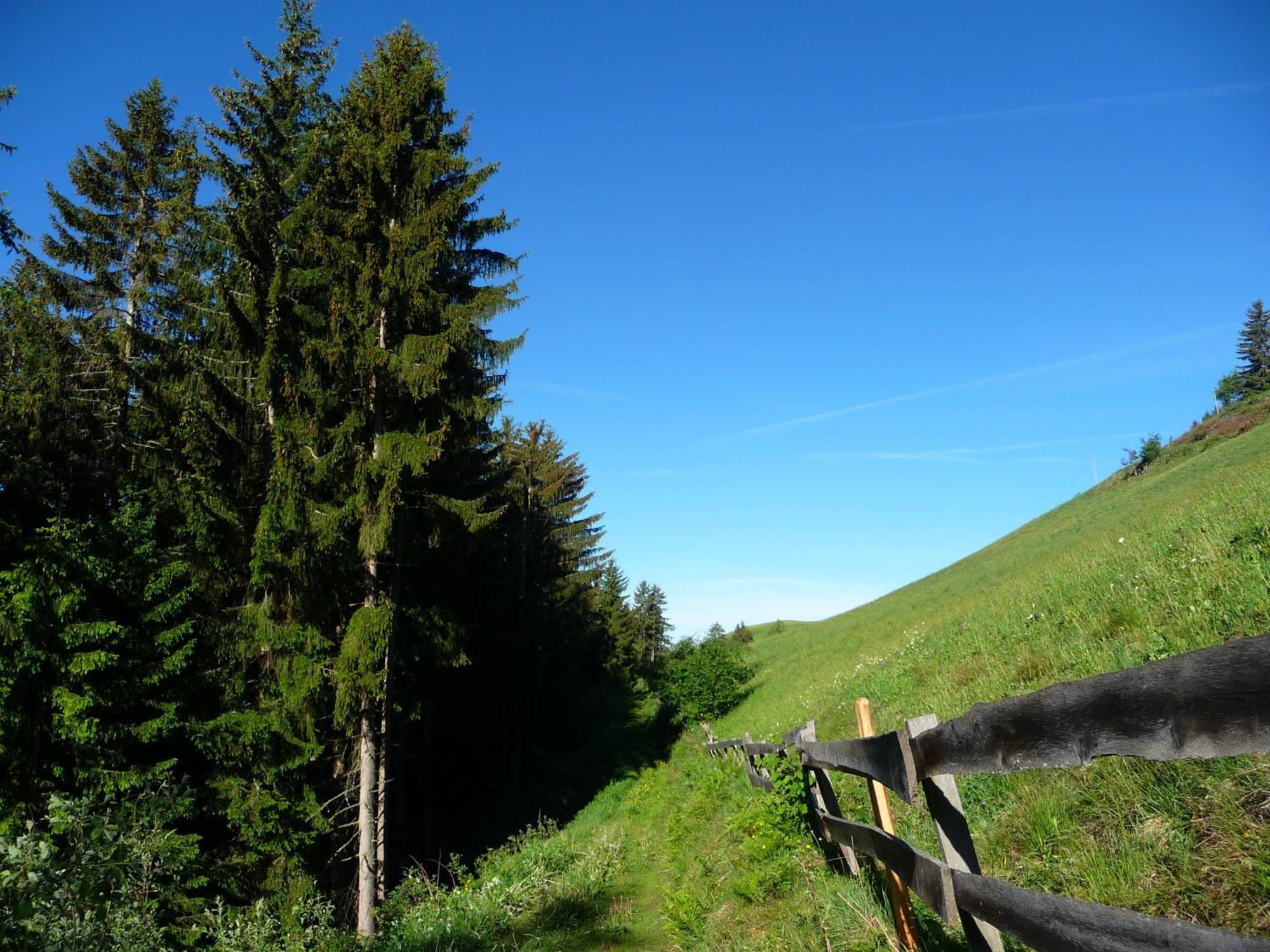 Putzerhof Aparthotel Funes  Luaran gambar